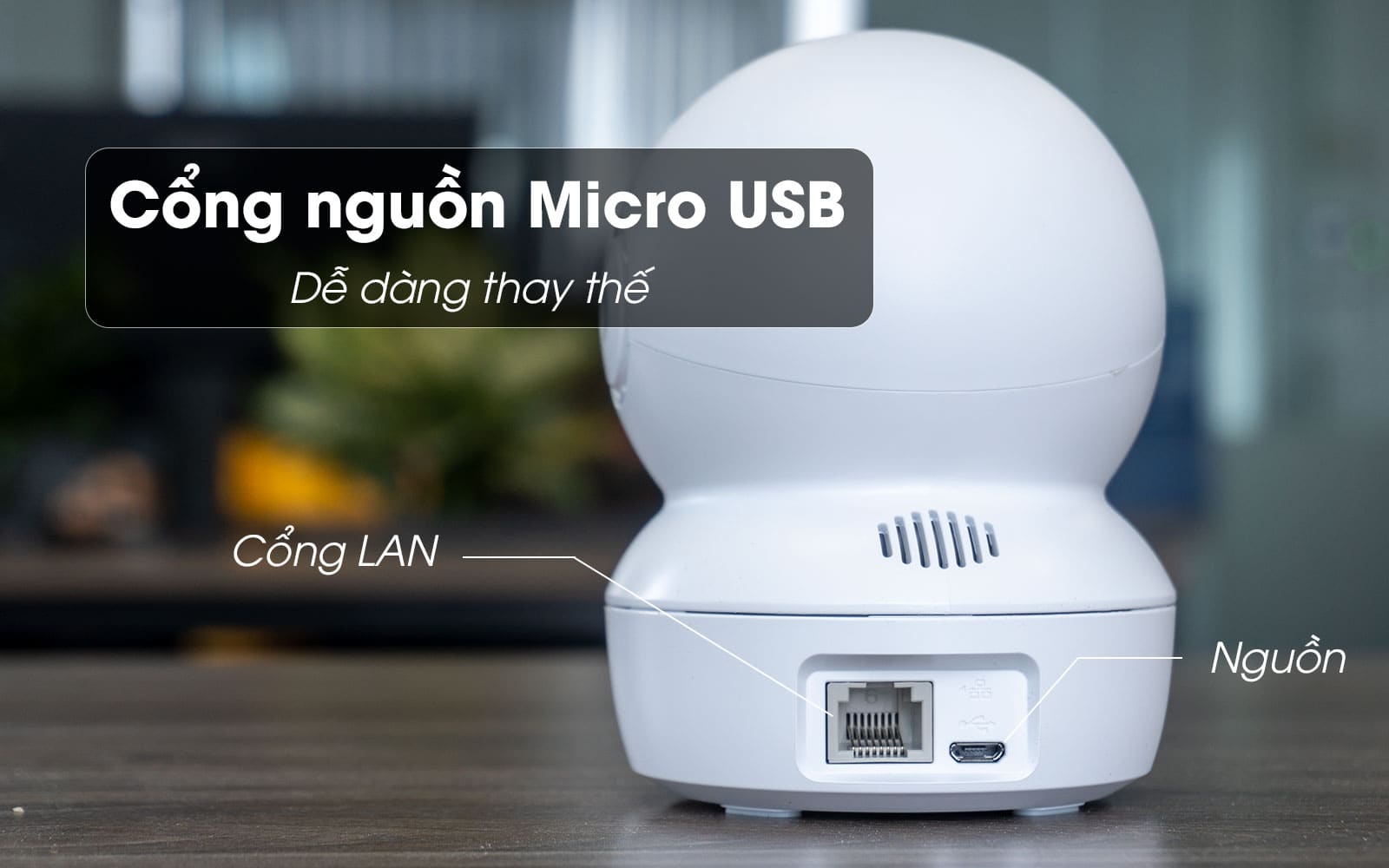 Cổng kết nối - ezviz c6n 1080p